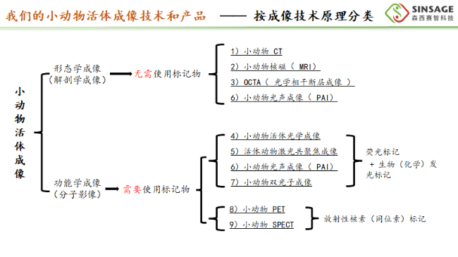 AI改圖-圖片 11-650x365.png