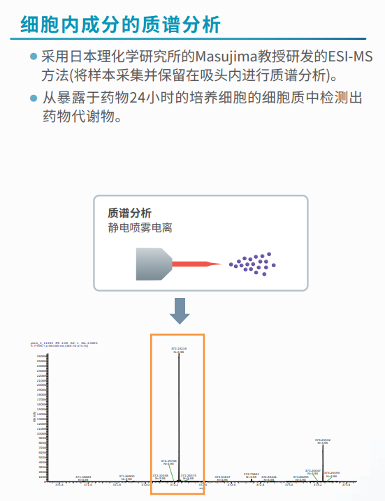 細胞內(nèi)成分的質譜分析.png