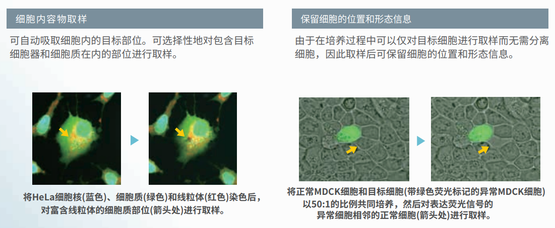 核心技術-1.png